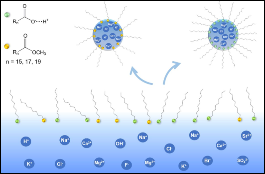 ACSEarthSpace's tweet photo. New study about #AirWaterInterface: alterations in surface properties of sea spray aerosols introduced by surfactants. #marinechemistry @Shandongdaxue  @UnivLyon1 https://t.co/D1fotlfSbM https://t.co/KyX9wOIILQ