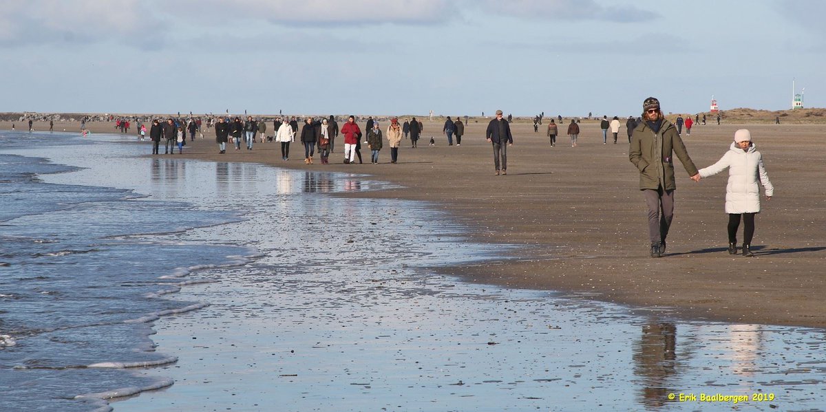 IJmuiden tweet media