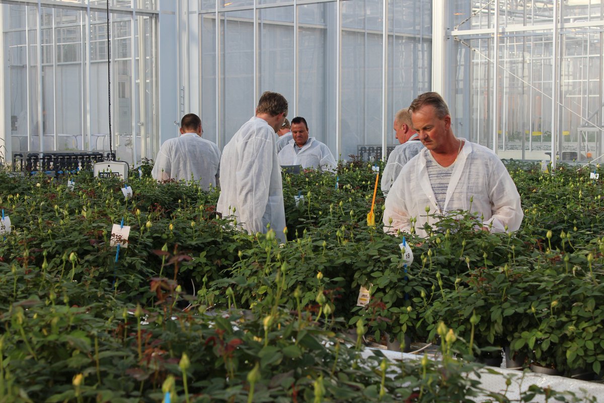 Op 21 maart organiseren we een informatiedag over het gebruik van #hulpstoffen in de #landbouw en #tuinbouw. Tijdens deze dag krijgt u een goed beeld hoe hulpstoffen werken, wat de effecten zijn en hoe u ze kunt inzetten. Komt u ook? bit.ly/2DSJ75u