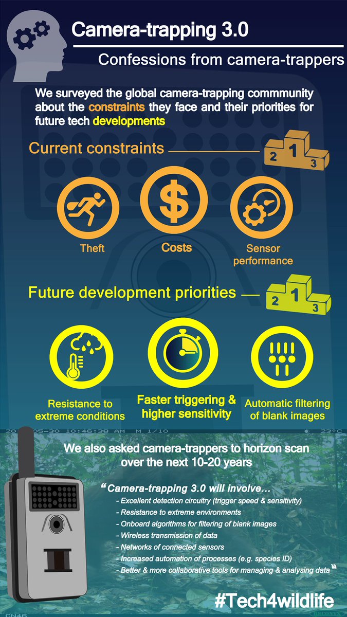 Ollie Wearn tweet media