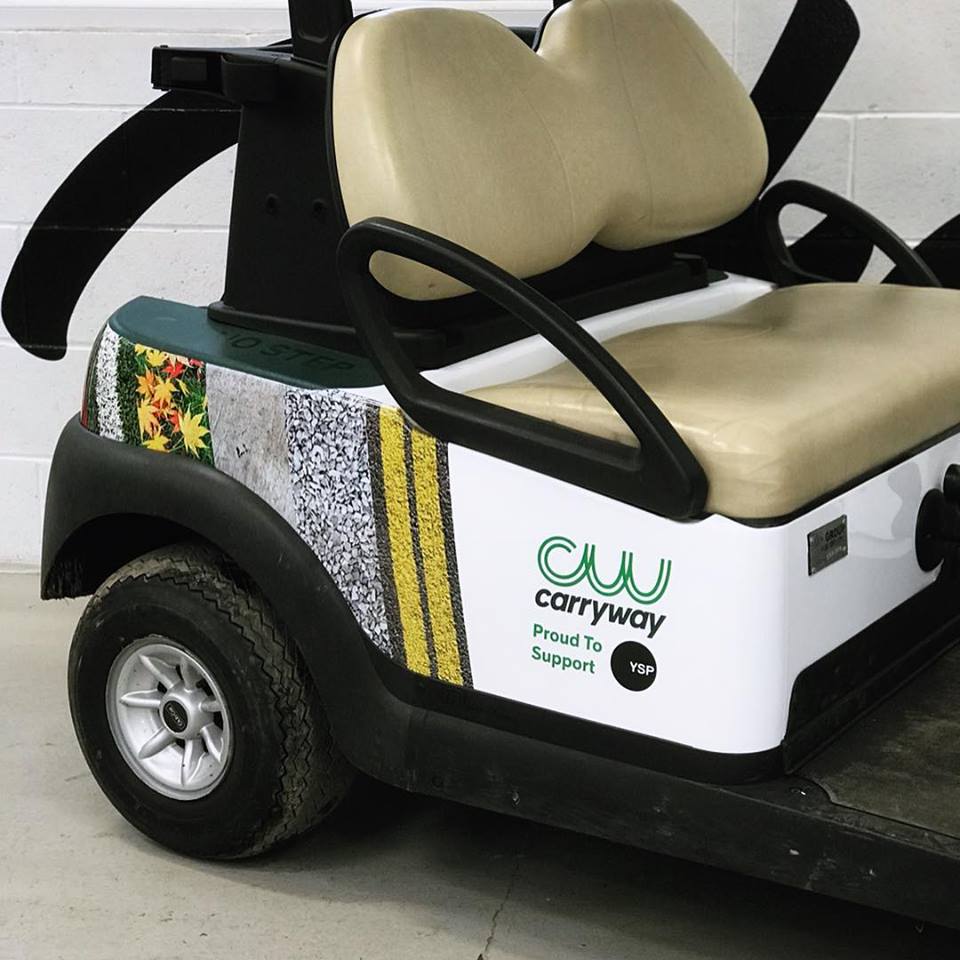 carryway golf buggies