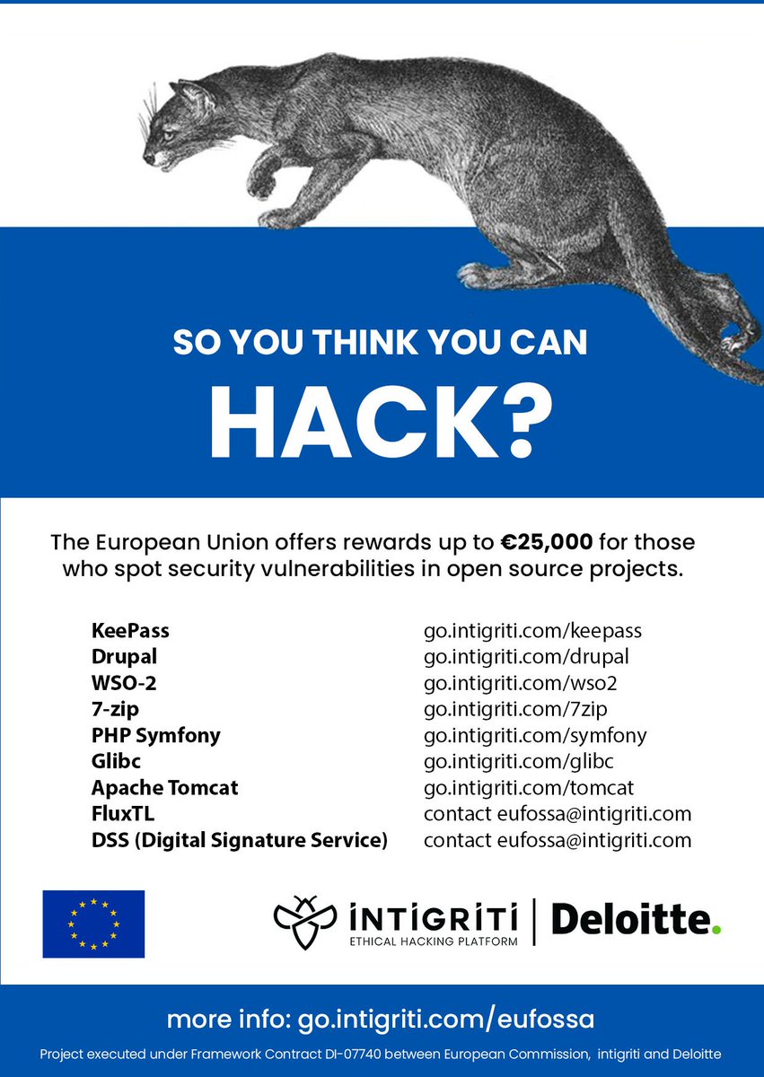DanCimpean's tweet photo. So you think you can #hack ? #bugbountytip #bugbounty #EUFOSSA2 #infosec @DeloitteBounty @intigriti https://t.co/cjZQL0a81A