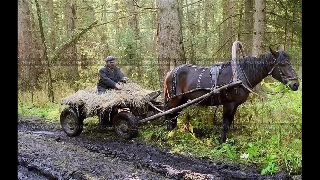 ������� �� ������� � pic 4