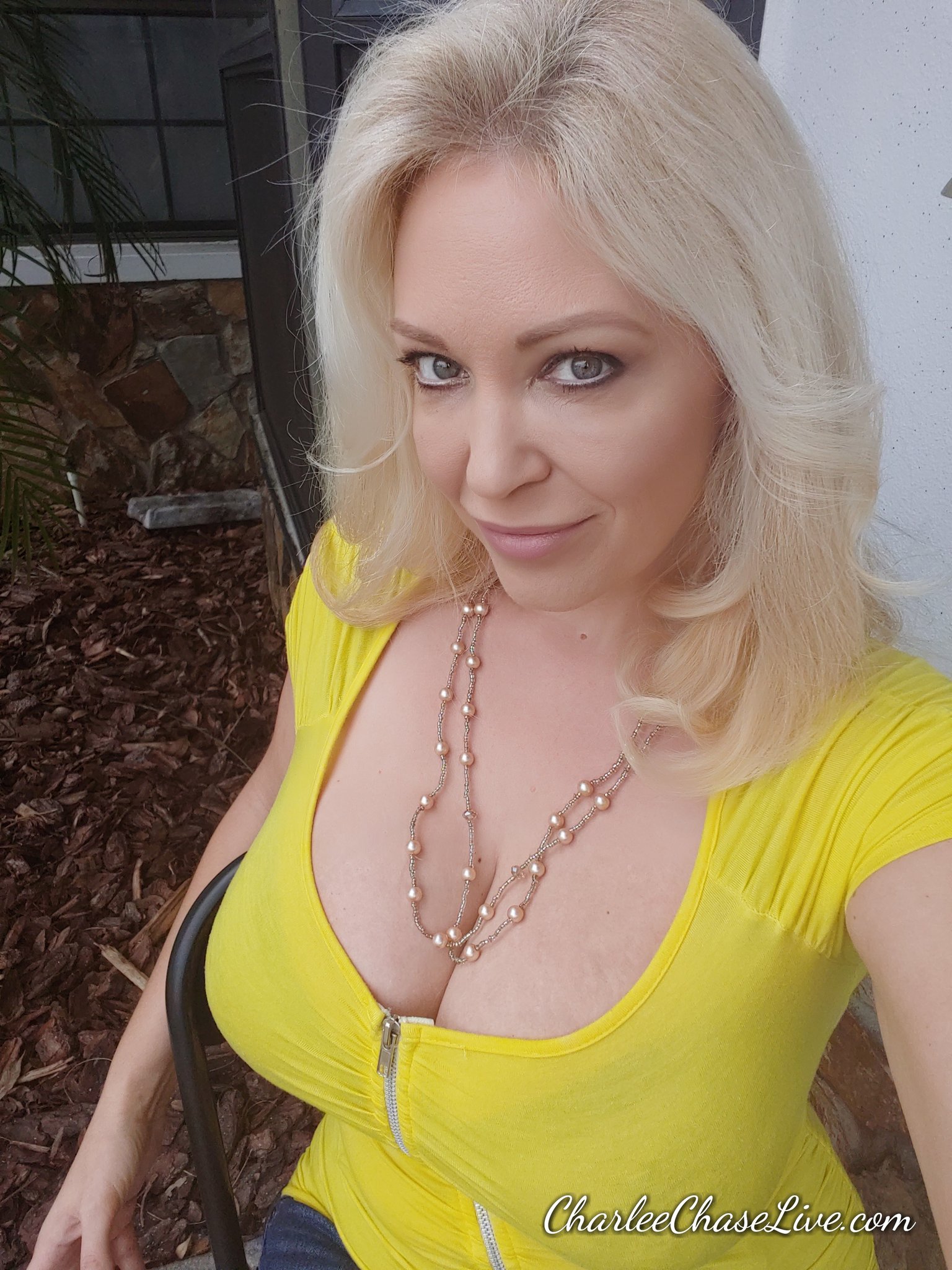 Charlee Chase ® ™ Top 2.5% OnlyFans on Twitter.