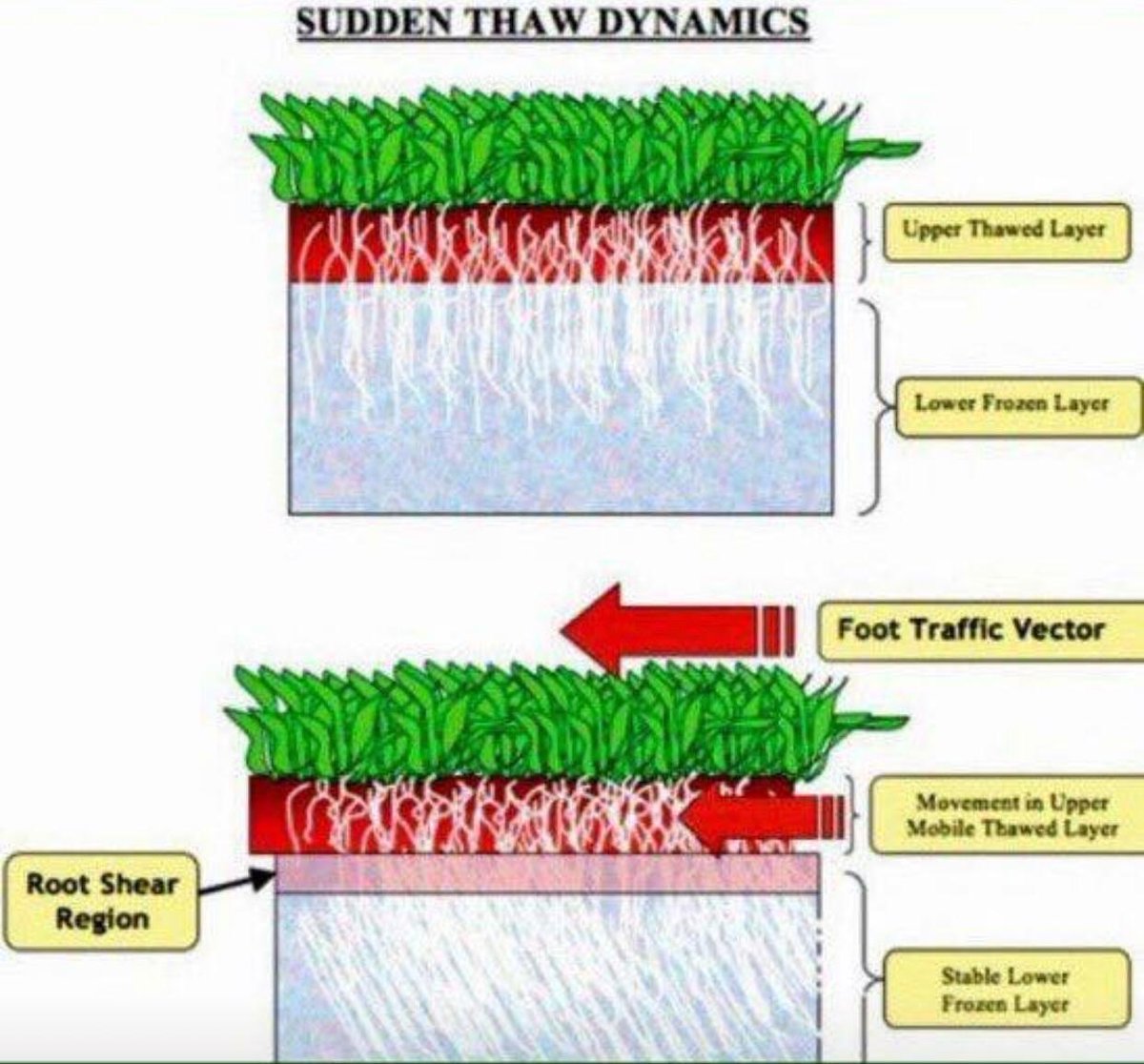 CGC_greens's tweet photo. This is what happens during a change in temperature under the grass and the reason the course was closed today. https://t.co/7nuWMRoKmA