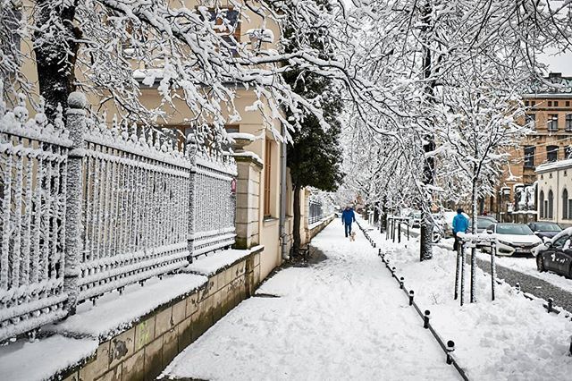 gazeta_wyborcza's tweet image. Piękna zima w całej Łodzi! Fot. Tomasz Stańczak #AgencjaGazeta 
#winterview #instaview #winter #zima #beautifulwinter #Łodz #snieg #snowing #pieknazima bit.ly/2GaItTq
