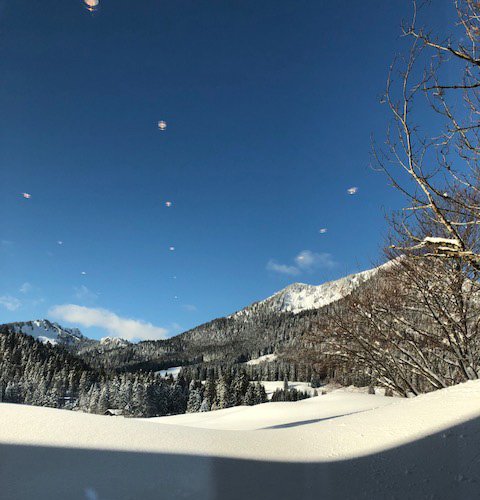 ObjectiveSW's tweet image. Objective/ @luxoft #offsite at #Spitzingsee today. We're very motivated to power through our #management #workshops today, so we can go out and play in the snow after ☺️❄️⛄️🛷 #objectivesoftware #luxoft #workhardplayhard #snow #mountains