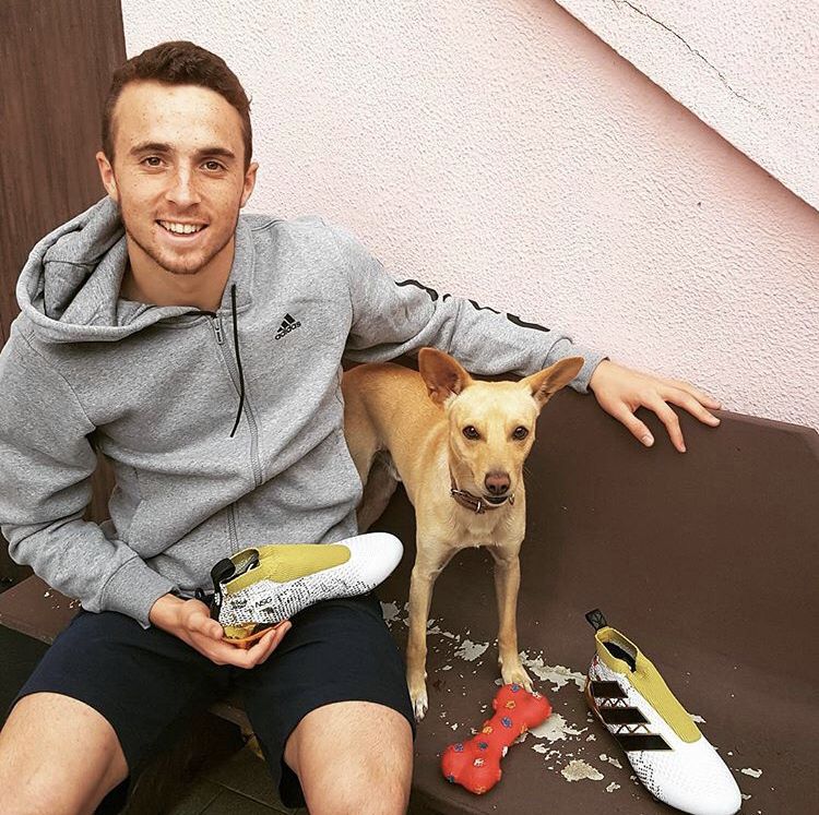 Footballers with animals on X: "Diogo Jota hanging out with his dog  https://t.co/Jg8sA0tjRy" / X