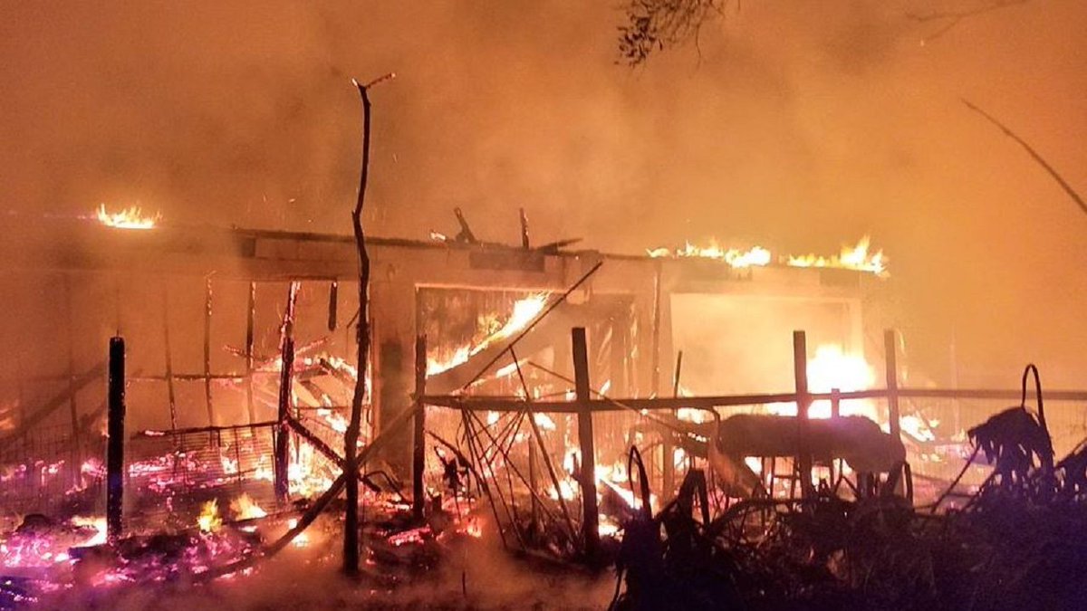 33 animals killed in large fire at Florida wildlife sanctuary bit.ly/2DSRUV2?utm_so… https://t.co/xJ5FeQtGZu