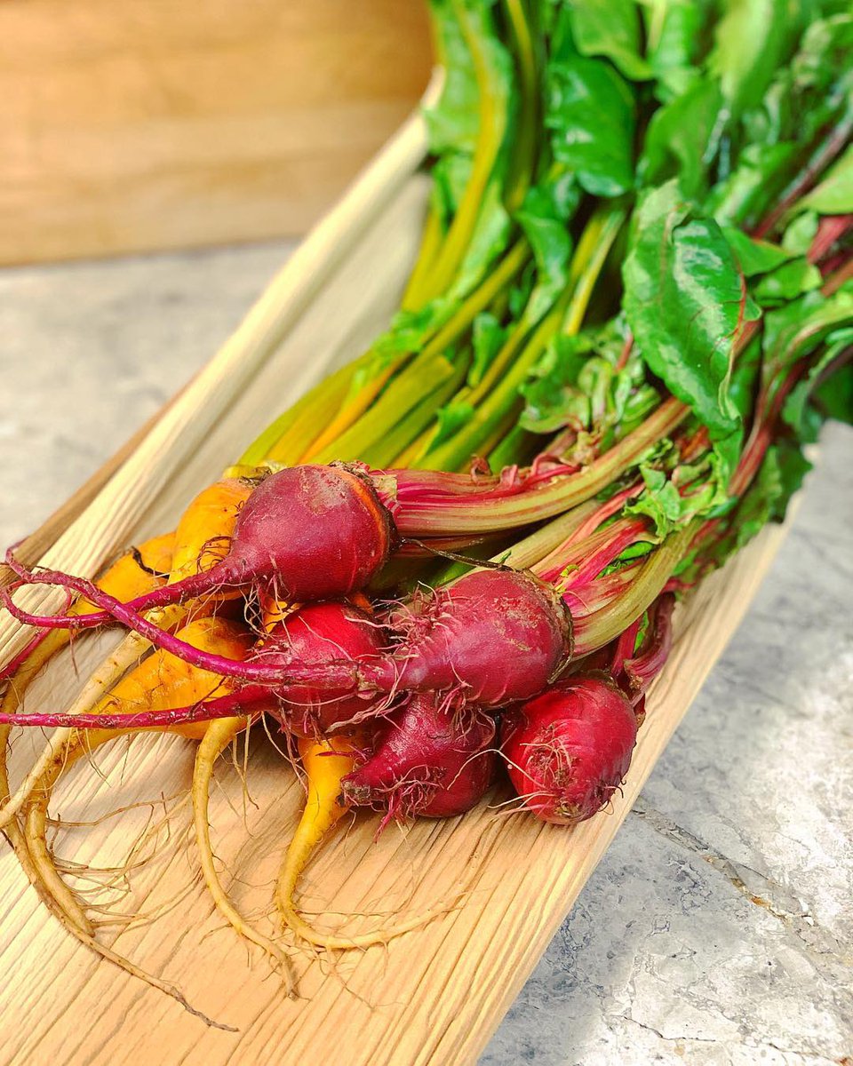 PremProduce1's tweet image. Bigger isn’t always better. Just look at how precious (and delicious) these baby root vegetables look? Carrots, beets and more - just in time for those Valentine’s Day menus. #eatpremier #valentinesmenu #rootveggies