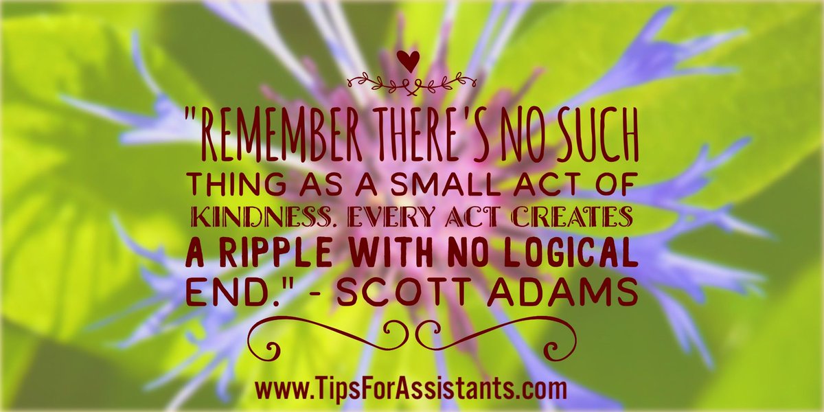 assistant_tips's tweet photo. No acts of #kindness are small 🌹 https://t.co/OLVpiwkMio