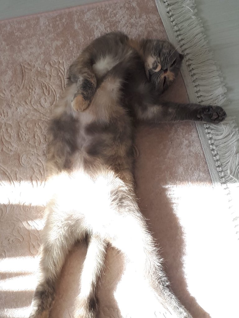 Pazartesi de çok bayılıyordu sana... 🤦🏻‍♀️