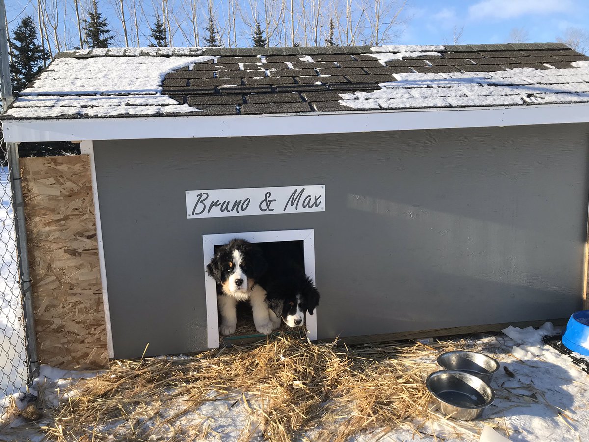 Happy Monday friends. Seems like a fitting day to show you a small project I worked on with one of my neighbours, Ken Fink, to help keep his new Grand Puppies stay warm this winter. 

No project is too big or too small, let me help you out with your next project.