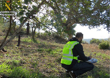 La Guardia Civil procede contra 58 personas por la sustracción de más de 89.000 kilos de algarrobas en La Hoya de Buñol-Chiva - 

Según han informado fuentes de la Comandancia de la Guardia Civil de Valencia, dentro de los servicios establecidos d ...- premsavalenciana.es/la-guardia-civ…