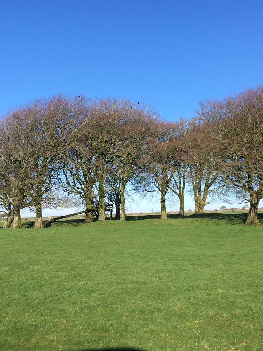 BawnmoreNS's tweet photo. 3rd class enjoyed exploring historical sites in our area last Friday. Many thanks to @forgemus @LackaghHeritage #explorebawnmore https://t.co/JzkM9NhsmD