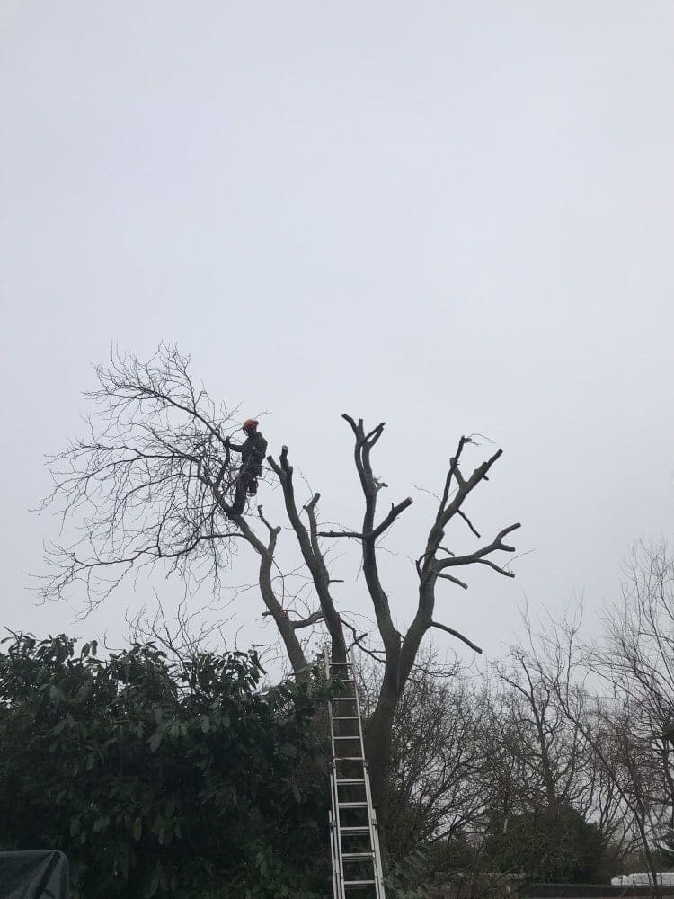 cutting edge property maintenance (CuttingProperty) Twitter