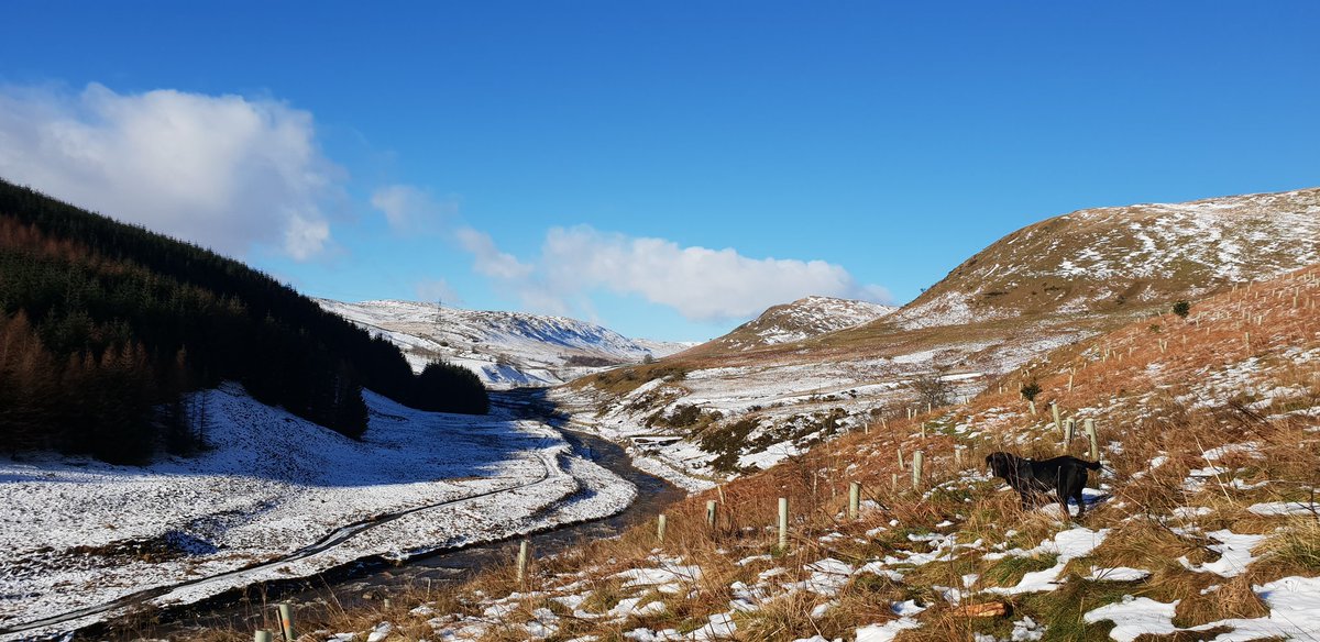 My office for the day #LakeDistrict  #volunteering #MondayMotivation