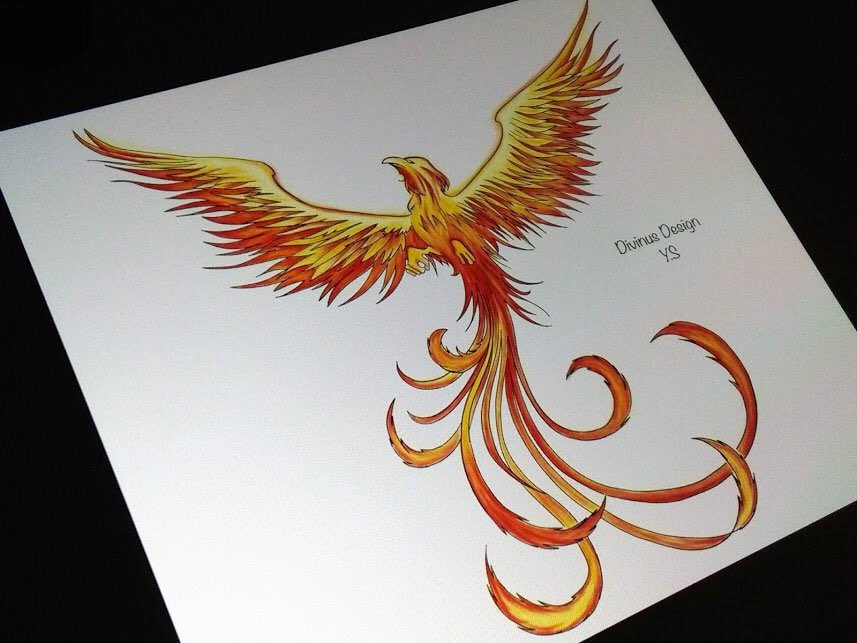 Phoenix Bird Logo Tribal Tattoo Design Stencil Vector Illustration  16189202 Vector Art at Vecteezy