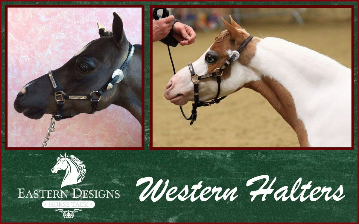 EDHorseTack's tweet photo. Our Beautiful Leather Western Halters are made with lovely metal fittings.
visit us : https://t.co/U1YA2Wv29T
#performancehalter #stockhalter #westernhalter #westernhorse #stockhorse https://t.co/jNfSrxLXrw
