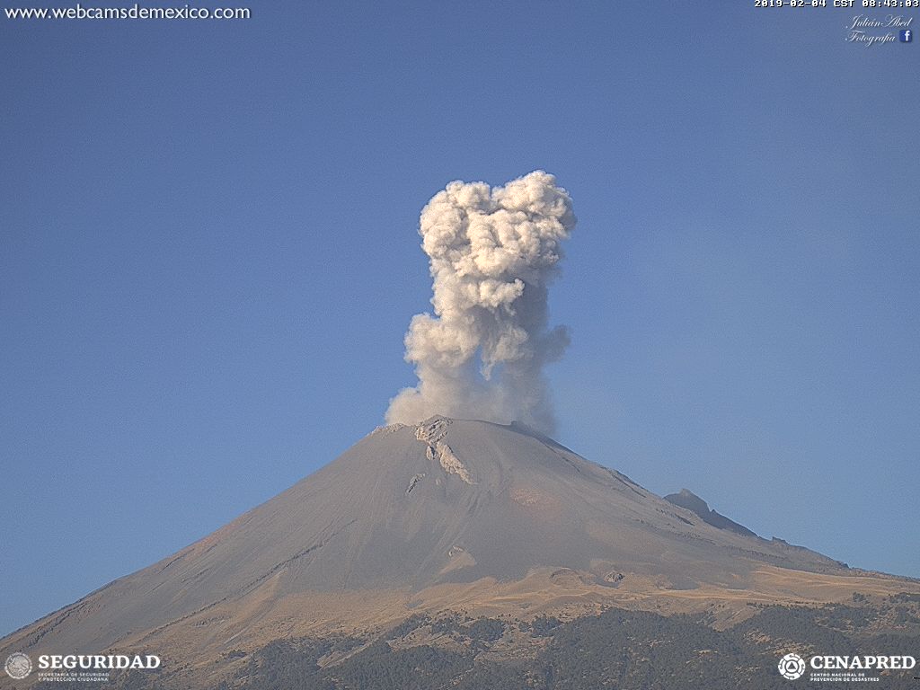 SkyAlertMx's tweet photo. Leve emisión de ceniza del #Popocatépetl - 8:40 h.
Columna eruptiva de 1 km sobre el cráter; dispersión hacia el lado de Puebla. https://t.co/hwZ2MYKmeC