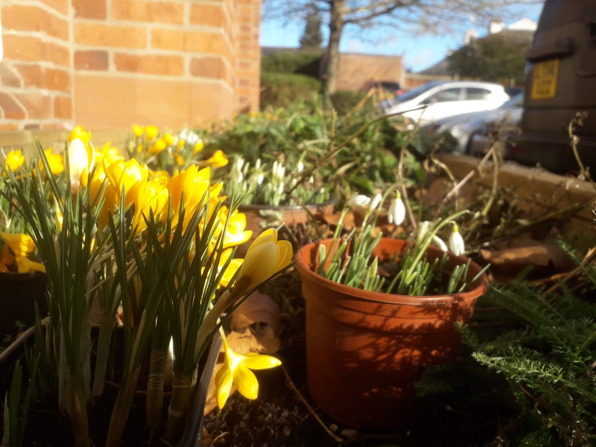 RSKDesignComms's tweet photo. Bringing clarity and creativity to business communications isn’t easy, especially with the sun shining outside. No insects around our bee-friendly planters yet, but last week's snow has melted and it’s a barmy 10°C. @RSKGroup https://t.co/LmQhZw8IUB