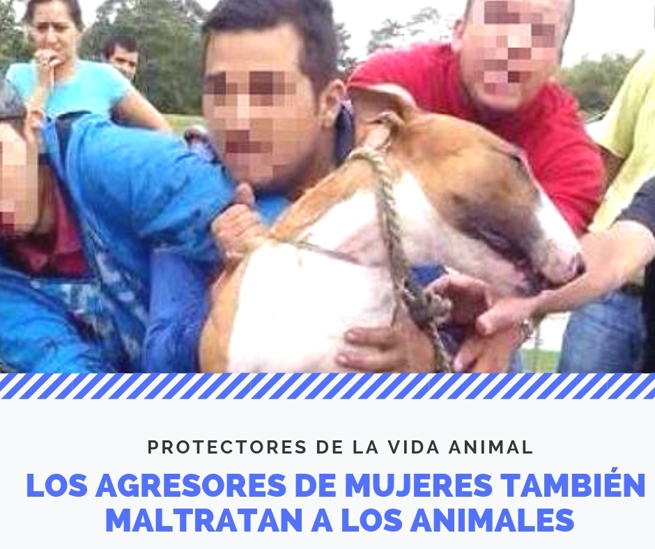 AnimalitruS's tweet photo. Para informarte sobre este tema ingresa a:
 https://t.co/VxkAuGwf3s https://t.co/JUbM41GNTS