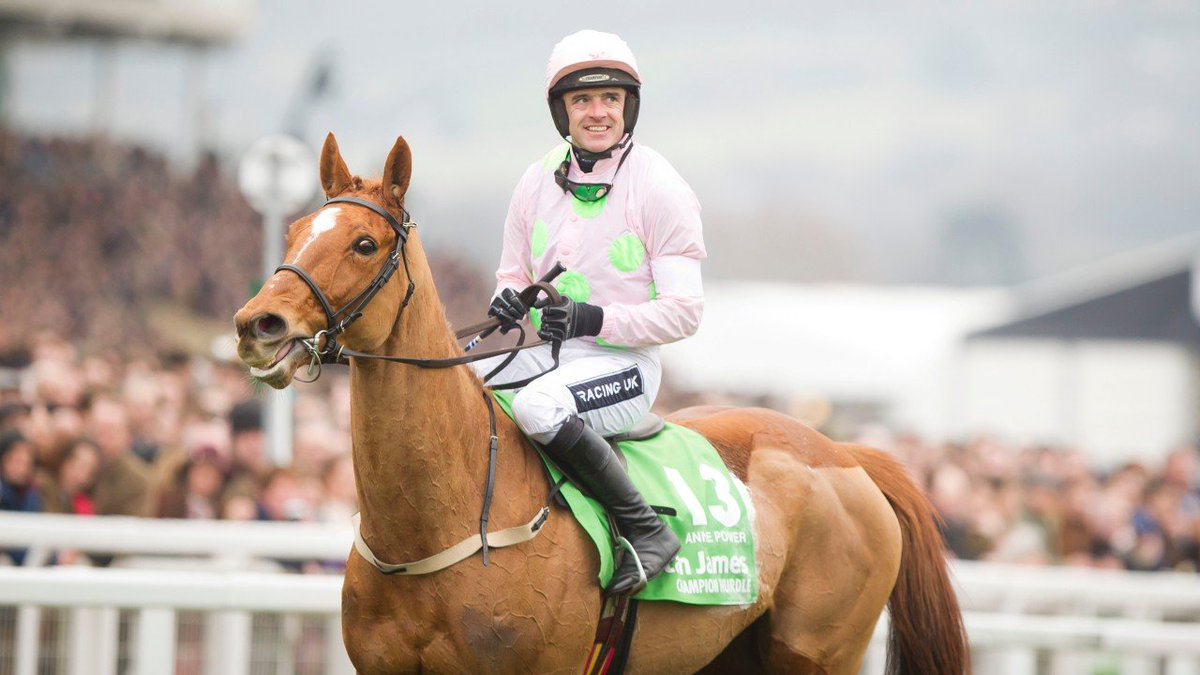 aobrienfansite's tweet image. WONDERFUL NEWS 

Champion Hurdle winner Annie Power has given birth to a Galileo Colt we wish them both well. He will be something to look-forward to in a few years time.