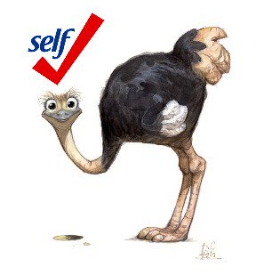 CompeerST's tweet image. February is National Self-Check Month! Go to selfchec.org for easy tips for taking control of your health and checking up on yourself!  #SelfCheck #health #wellness #February #NationalSelfCheckMonth