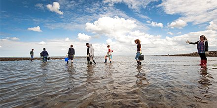 Zilte lucht, weidse uitzichten, zee, historische dorpen en steden. Heb jij al aan Zeeland gedacht als vergaderlocatie, voor een training of teambuilding? De ligging biedt een inspirerende omgeving voor een zakelijke bijeenkomst. Check de mogelijkheden 👉 opstapinzeeland.nl