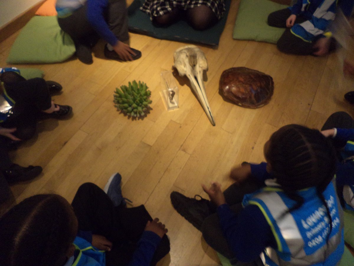 Launcelot Primary tweet media