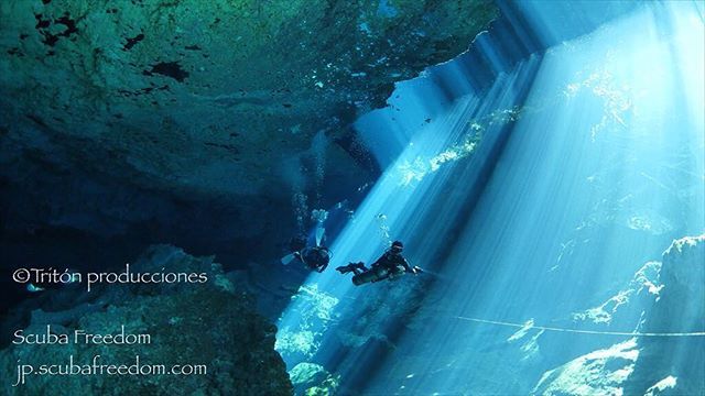 ScubaFreedom's tweet photo. Divine... 文句なしの晴天。いつもより日差しが強かった〜

#caverndiving #bestofficeever #光のカーテン #プラヤデルカルメン #caverndiving #cenotediving #rivieramayamexico #セノーテ https://t.co/oEvAdK1Gq9 https://t.co/5h3Nsf0cMB