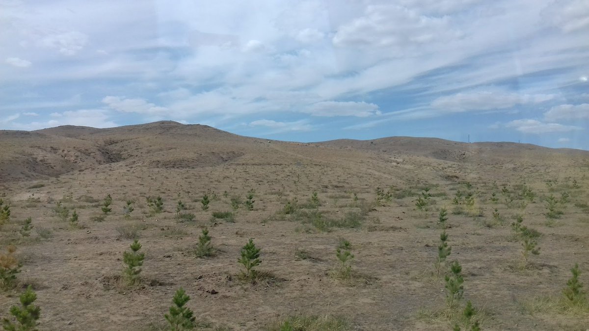 NickOstle1's tweet photo. Soil Research Associate needed at @LancsUniLEC 
A 3 year @NERCscience funded project to 'Lock-Up' more soil carbon.
Working with @Jen1Whitaker at @CEHScienceNews.
Open to UK, EU and international applicants.
https://t.co/hMrFH7C544 https://t.co/ks3nwtXWxe