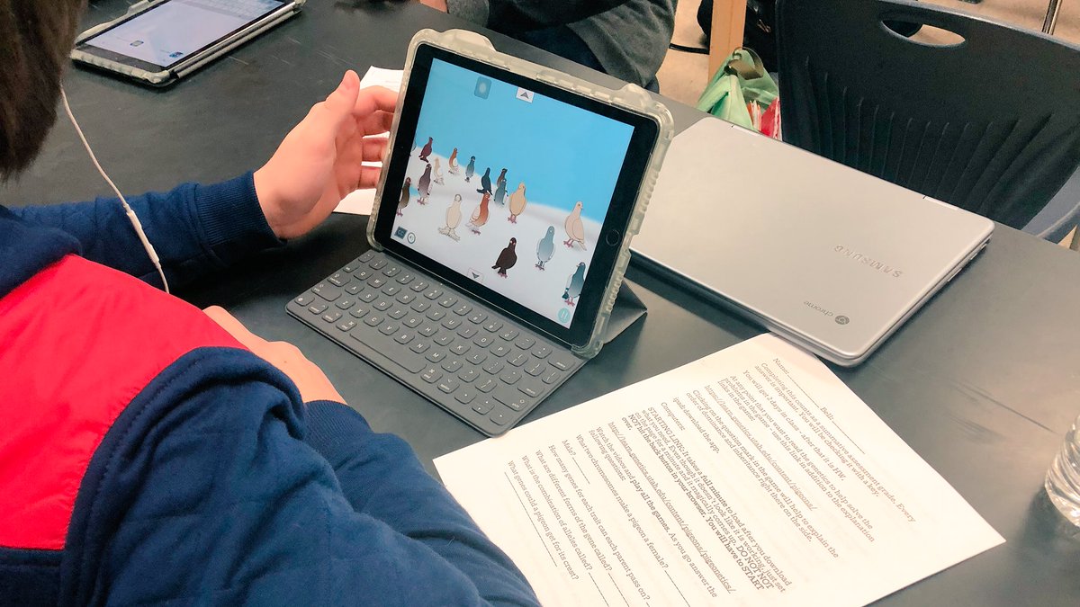 Mariemont_HS's tweet photo. .@scibiowarriors Honors Biology classes are putting their pigeon-breeding skills to the test with @UUtah Pigeonetics app. 26 puzzles of increasing complexity ask students to breed offspring with a specified phenotype. #amplifiedlearning #criticalthinking @MariemontSchool https://t.co/sP04SIE9AH