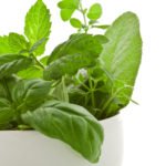 towerham's tweet image. Green vegetable is good for health? Really?

Melanie and Jeff Carpenter own a sprawling vegetable garden that grows orange-blossomed calendula. The couple has re ..

ultimatesuperfoods.org/vegetable-is-g…