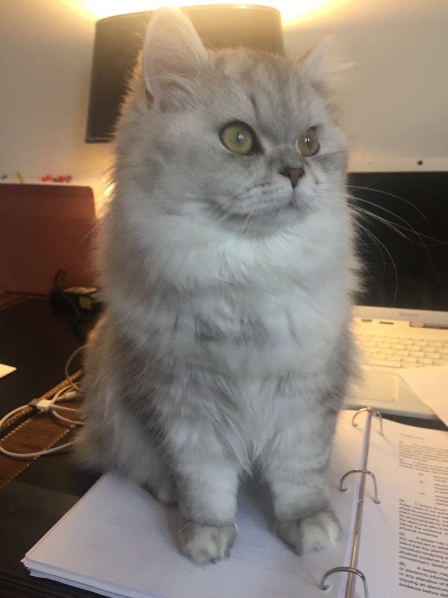 Time for a break! Lol