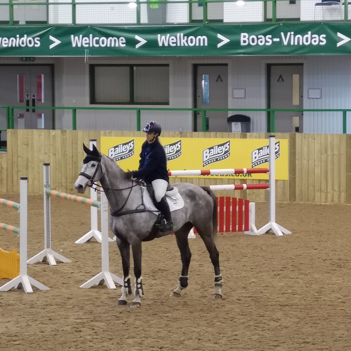 Great demo from Dermot Lennon <a href="/DLEventing/">Dani Evans Eventing</a> #ief19 #ief2019