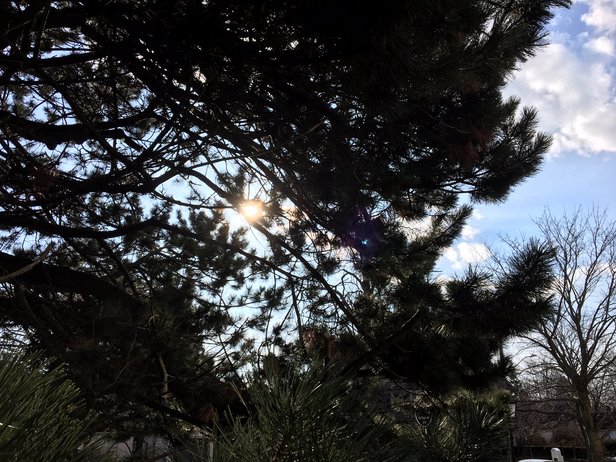 Oban Inn Niagara on the Lake Hotel, Spa & Dining tweet media