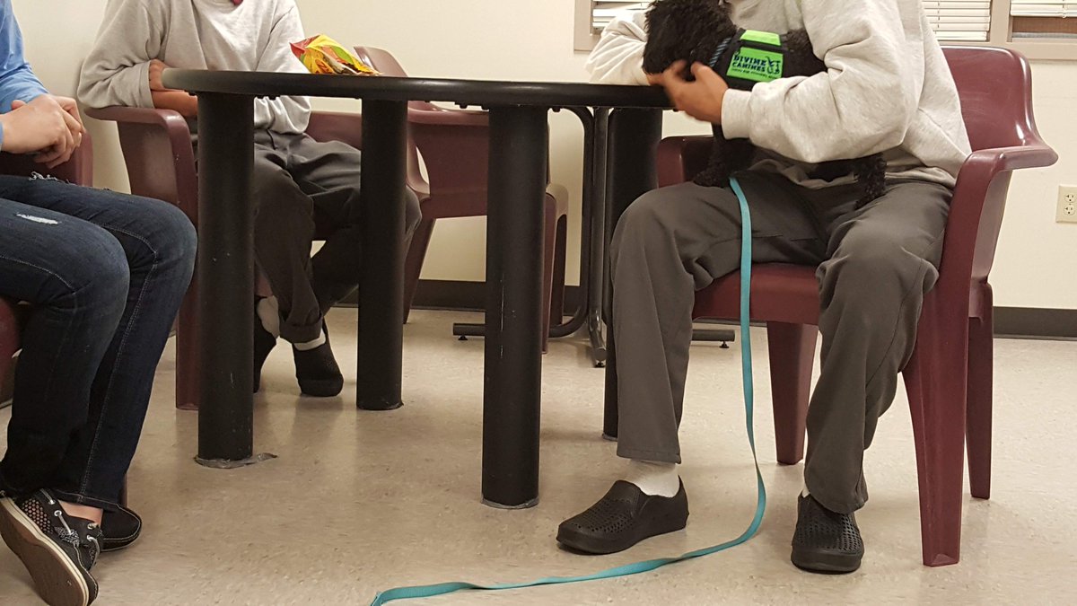 somethingtoadd's tweet image. Therapy dogs came to visit at Gardner Betts bringing much needed smiles to our boys! 
@divinecanines #AISDCounselorWeek  @AISDCounseling