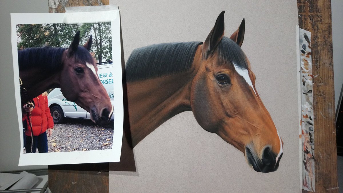 Christmas surprise for <a href="/JakeJSaywell/">Jake Saywell</a> <a href="/EmmaSaywell/">Emma Saywell</a> #horsepainting #pastel