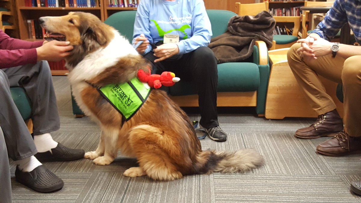 somethingtoadd's tweet image. Therapy dogs came to visit at Gardner Betts bringing much needed smiles to our boys! 
@divinecanines #AISDCounselorWeek  @AISDCounseling