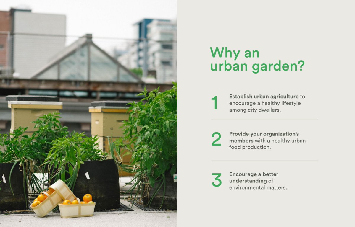 microhabitat_ca's tweet photo. Add an urban garden to your organization's outdoor spaces and enjoy its many benefits! 🌿🍅

Contact us at info@microhabitat.ca to learn more about our turnkey services.

#montreal #urbanagriculture #Sustainability https://t.co/XanwAcc1Tw