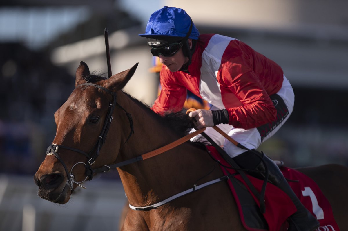 NavanRacecourse's tweet image. Super Saturday for Navan Graduates. 

APPLE’S JADE ⤵️
🏆 Navan Gr2 Lismullen Hdle Nov ‘18
🏆 BHP Champion Hurdle at #DRF 
✈️ Cheltenham Champ Hurdle bound

ENVOI ALLEN ⤵️
🏆Navan Future Champions Listed Bumper
🏆Grade 2 Bumper at #DRF
✈️ Cheltenham Champ Bumper bound

#NavanForm