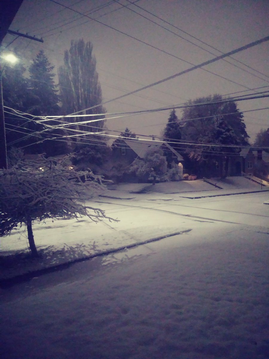 lauren_doing's tweet photo. 3am Olympia snowscape ❄ https://t.co/qpwhMI95xb