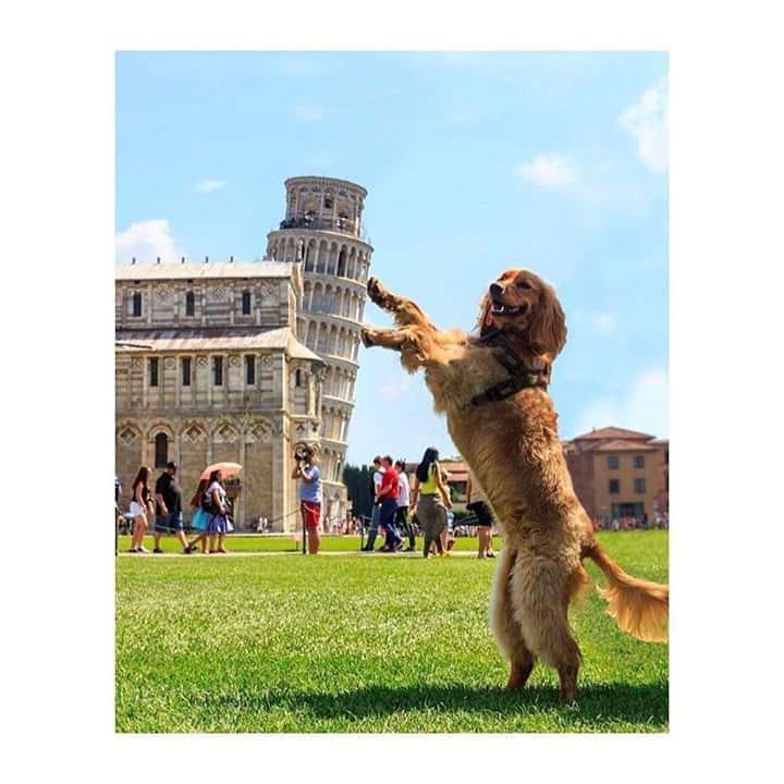 SuavesLomitos's tweet image. La foto perfecta no exis… 😍