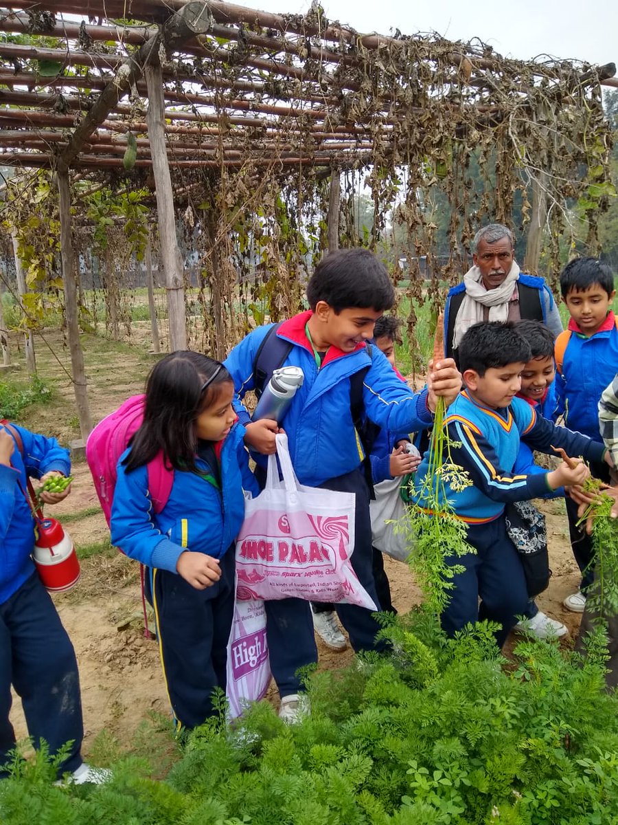 tfsfoundation's tweet photo. At the Eco farm, Ss tried their hands at the different science models. Before boarding the bus, they made sure they filled their bags/satchels with farm fresh veggies- gift for Mom!#TFSGoals #FunLearning #SpiralLearning #Constructivism #Edutainment #FirsthandLearning @Kat_d15 https://t.co/nNFJearZBI
