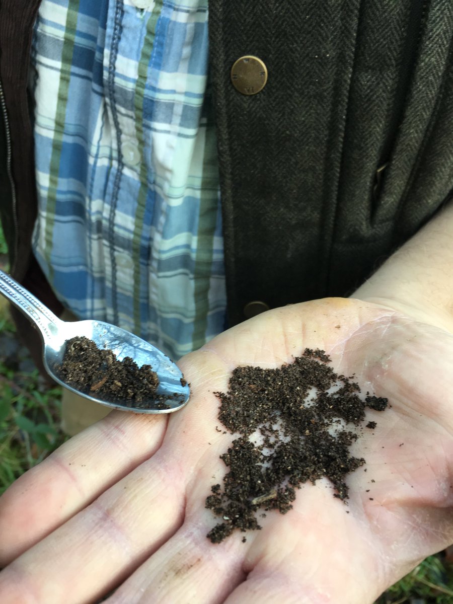 WorcsBRC's tweet photo. Learning all about surveying for the jewel-like Noble Chafer beetle on our recent training workshops. A good eye for spotting suitable tree nooks and hollows, a long-handled ice cream spoon and a love of droppings (aka frass) is all you need! #biologicalrecording #hlf https://t.co/wgRfLRA3Ku