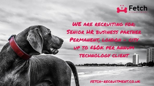 Are you a Snr HR Business Partner with experience of partnering at Director level?

We are recruiting for a high profile client in London (City area). The role is paying up to circa £60k and is permanent.

For details/to apply: ow.ly/rpG330nzEDe