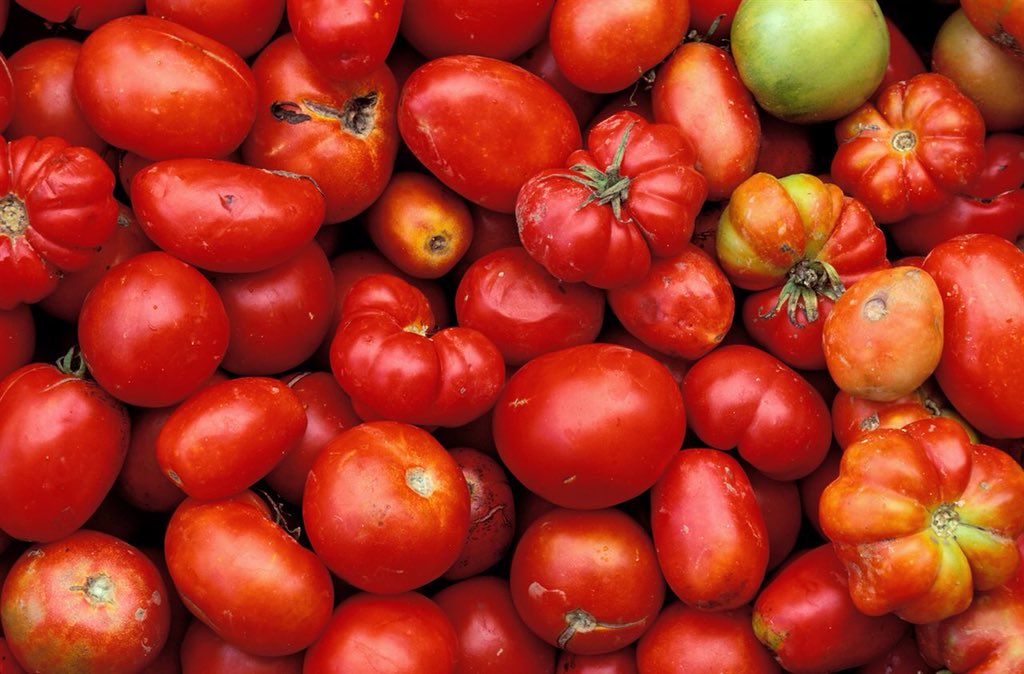 wokpics_'s tweet photo. #4Feb

Hoy actualizamos nuestros precios y no tienen competencia. 😱🙌🏽

El kilo de tomate a 2.500 bs. ¿La mejor parte? El delivery está incluido. 🛵🔝¡Contáctanos y realiza tu orden! https://t.co/JFBZYLhWfS