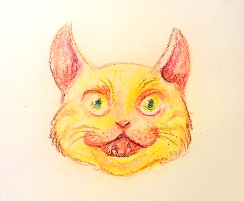 dailycatdraw's tweet photo. Daily Cat Drawing 122
#Patreon https://t.co/03UZNo5YLF  
#crayons #traditionalart #cat https://t.co/FixwXffC6X