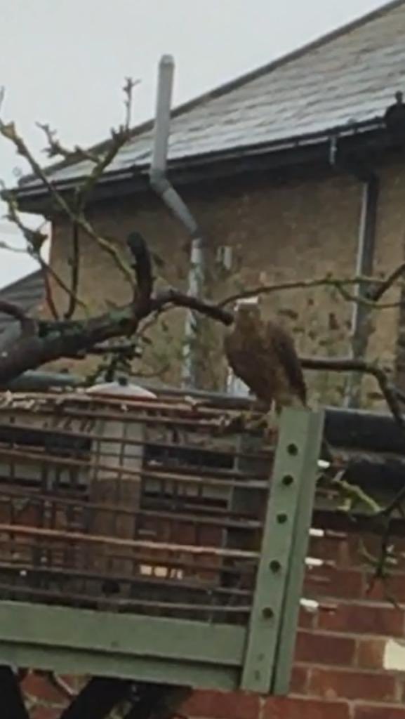 Vijaya Ahtti tweet media